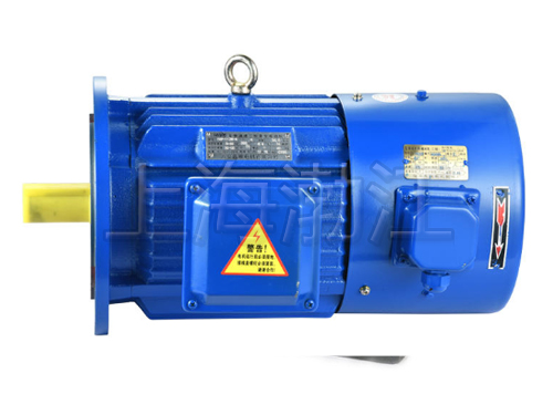 變頻電動(dòng)機(jī)-變頻電機(jī)-變頻調(diào)試電機(jī)