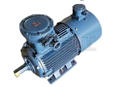 防爆拋光機(jī)-防爆電機(jī)